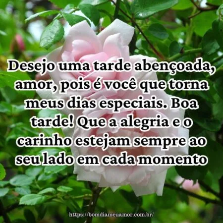 Desejo uma tarde abençoada, amor, pois é você que torna meus dias especiais. Boa tarde! Que a alegria e o carinho estejam sempre ao seu lado em cada momento. Desejo uma tarde abençoada, amor, pois é você que torna meus dias especiais. Boa tarde! Que a alegria e o carinho estejam sempre ao seu lado em cada momento.