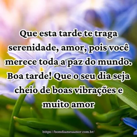 Que esta tarde te traga serenidade, amor, pois você merece toda a paz do mundo. Boa tarde! Que o seu dia seja cheio de boas vibrações e muito amor. Que esta tarde te traga serenidade, amor, pois você merece toda a paz do mundo. Boa tarde! Que o seu dia seja cheio de boas vibrações e muito amor.