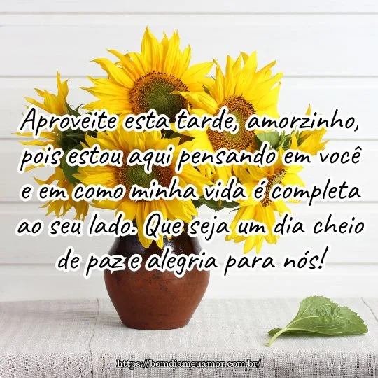 Mensagens de boa tarde amorzinho