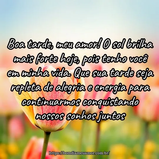 Mensagens de boa tarde meu amor