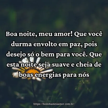 Boa noite, meu amor! Que você durma envolto em paz, pois desejo só o bem para você. Que esta noite seja suave e cheia de boas energias para nós.