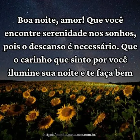 Boa noite, amor! Que você encontre serenidade nos sonhos, pois o descanso é necessário. Que o carinho que sinto por você ilumine sua noite e te faça bem.