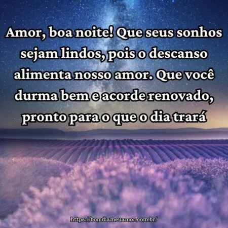 Amor, boa noite! Que seus sonhos sejam lindos, pois o descanso alimenta nosso amor. Que você durma bem e acorde renovado, pronto para o que o dia trará.