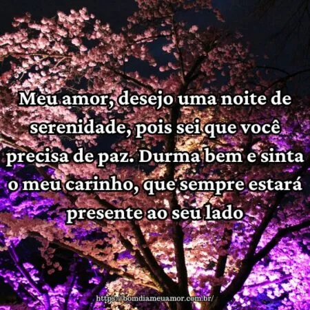 Meu amor, desejo uma noite de serenidade, pois sei que você precisa de paz. Durma bem e sinta o meu carinho, que sempre estará presente ao seu lado.