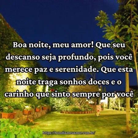 Boa noite, meu amor! Que seu descanso seja profundo, pois você merece paz e serenidade. Que esta noite traga sonhos doces e o carinho que sinto sempre por você.