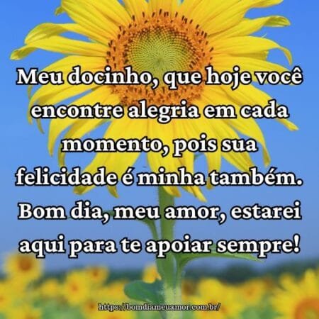 Meu docinho, que hoje você encontre alegria em cada momento, pois sua felicidade é minha também. Bom dia, meu amor, estarei aqui para te apoiar sempre! Meu docinho, que hoje você encontre alegria em cada momento, pois sua felicidade é minha também. Bom dia, meu amor, estarei aqui para te apoiar sempre!