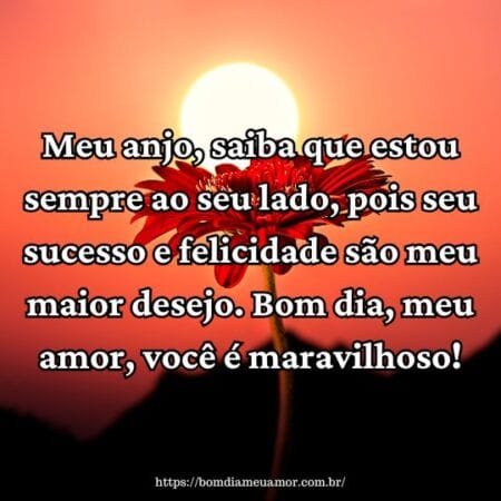 Meu anjo, saiba que estou sempre ao seu lado, pois seu sucesso e felicidade são meu maior desejo. Bom dia, meu amor, você é maravilhoso! Meu anjo, saiba que estou sempre ao seu lado, pois seu sucesso e felicidade são meu maior desejo. Bom dia, meu amor, você é maravilhoso!