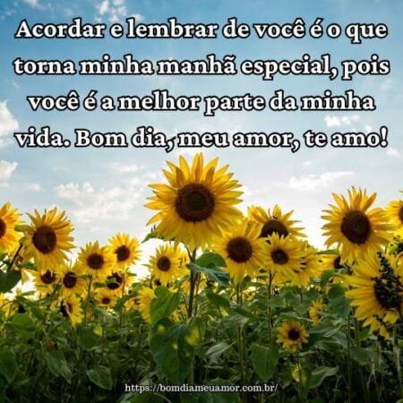 Acordar e lembrar de você é o que torna minha manhã especial, pois você é a melhor parte da minha vida. Bom dia, meu amor, te amo! Acordar e lembrar de você é o que torna minha manhã especial, pois você é a melhor parte da minha vida. Bom dia, meu amor, te amo!
