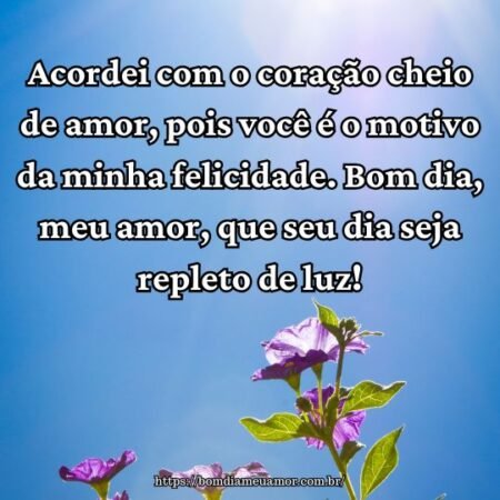 Acordei com o coração cheio de amor, pois você é o motivo da minha felicidade. Bom dia, meu amor, que seu dia seja repleto de luz! Acordei com o coração cheio de amor, pois você é o motivo da minha felicidade. Bom dia, meu amor, que seu dia seja repleto de luz!