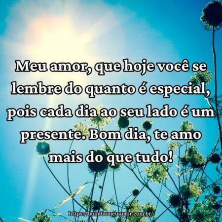 Meu amor, que hoje você se lembre do quanto é especial, pois cada dia ao seu lado é um presente. Bom dia, te amo mais do que tudo! Meu amor, que hoje você se lembre do quanto é especial, pois cada dia ao seu lado é um presente. Bom dia, te amo mais do que tudo!