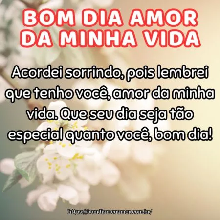 Acordei sorrindo, pois lembrei que tenho você, amor da minha vida. Que seu dia seja tão especial quanto você, bom dia!