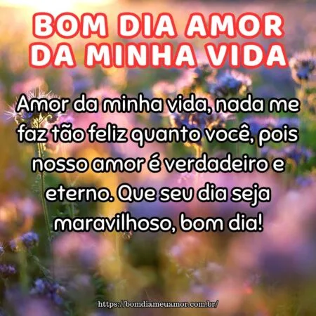 Amor da minha vida, nada me faz tão feliz quanto você, pois nosso amor é verdadeiro e eterno. Que seu dia seja maravilhoso, bom dia!