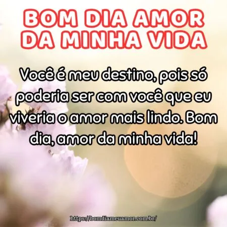 Você é meu destino, pois só poderia ser com você que eu viveria o amor mais lindo. Bom dia, amor da minha vida!