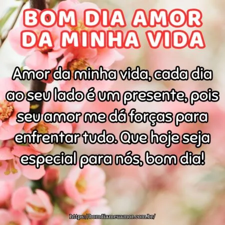 Amor da minha vida, cada dia ao seu lado é um presente, pois seu amor me dá forças para enfrentar tudo. Que hoje seja especial para nós, bom dia!