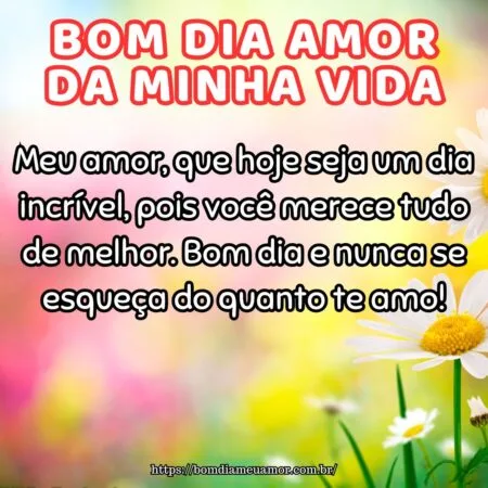 Meu amor, que hoje seja um dia incrível, pois você merece tudo de melhor. Bom dia e nunca se esqueça do quanto te amo!