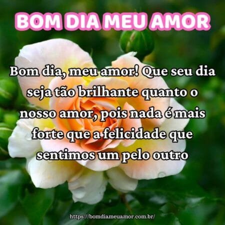 Bom dia, meu amor! Que seu dia seja tão brilhante quanto o nosso amor, pois nada é mais forte que a felicidade que sentimos um pelo outro. Bom dia, meu amor! Que seu dia seja tão brilhante quanto o nosso amor, pois nada é mais forte que a felicidade que sentimos um pelo outro.