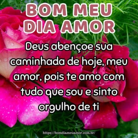 Deus abençoe sua caminhada de hoje, meu amor, pois te amo com tudo que sou e sinto orgulho de ti. Deus abençoe sua caminhada de hoje, meu amor, pois te amo com tudo que sou e sinto orgulho de ti.