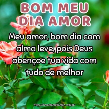 Meu amor, bom dia com alma leve, pois Deus abençoe tua vida com tudo de melhor. Meu amor, bom dia com alma leve, pois Deus abençoe tua vida com tudo de melhor.