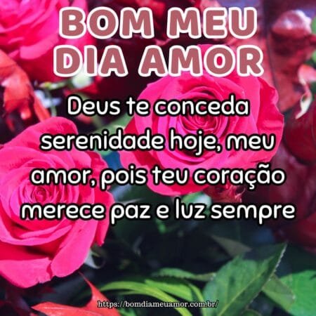 Deus te conceda serenidade hoje, meu amor, pois teu coração merece paz e luz sempre. Deus te conceda serenidade hoje, meu amor, pois teu coração merece paz e luz sempre.