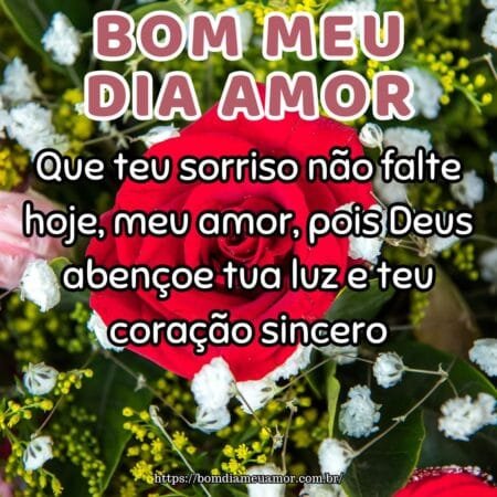Que teu sorriso não falte hoje, meu amor, pois Deus abençoe tua luz e teu coração sincero. Que teu sorriso não falte hoje, meu amor, pois Deus abençoe tua luz e teu coração sincero.