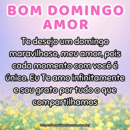 Te desejo um domingo maravilhoso, meu amor, pois cada momento com você é único. Eu Te amo infinitamente e sou grato por tudo o que compartilhamos.