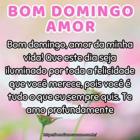 Bom domingo, amor da minha vida! Que este dia seja iluminado por toda a felicidade que você merece, pois você é tudo o que eu sempre quis. Te amo profundamente. Bom domingo, amor da minha vida! Que este dia seja iluminado por toda a felicidade que você merece, pois você é tudo o que eu sempre quis. Te amo profundamente.