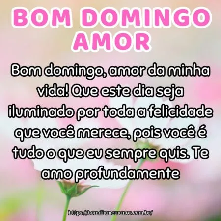 Bom domingo, amor da minha vida! Que este dia seja iluminado por toda a felicidade que você merece, pois você é tudo o que eu sempre quis. Te amo profundamente.