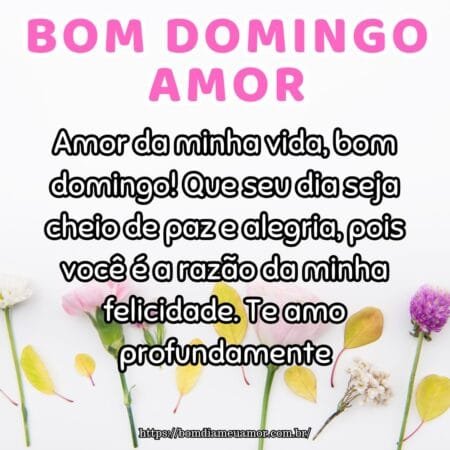 Amor da minha vida, bom domingo! Que seu dia seja cheio de paz e alegria, pois você é a razão da minha felicidade. Te amo profundamente. Amor da minha vida, bom domingo! Que seu dia seja cheio de paz e alegria, pois você é a razão da minha felicidade. Te amo profundamente.