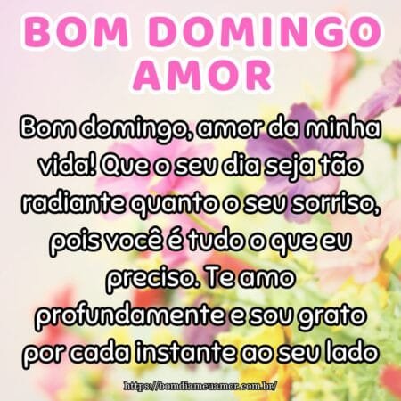 Bom domingo, amor da minha vida! Que o seu dia seja tão radiante quanto o seu sorriso, pois você é tudo o que eu preciso. Te amo profundamente e sou grato por cada instante ao seu lado. Bom domingo, amor da minha vida! Que o seu dia seja tão radiante quanto o seu sorriso, pois você é tudo o que eu preciso. Te amo profundamente e sou grato por cada instante ao seu lado.