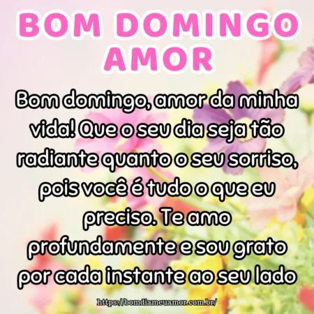 Bom domingo, amor da minha vida! Que o seu dia seja tão radiante quanto o seu sorriso, pois você é tudo o que eu preciso. Te amo profundamente e sou grato por cada instante ao seu lado.