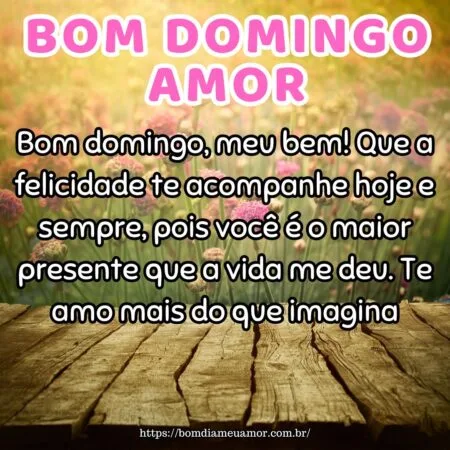 Bom domingo, meu bem! Que a felicidade te acompanhe hoje e sempre, pois você é o maior presente que a vida me deu. Te amo mais do que imagina.