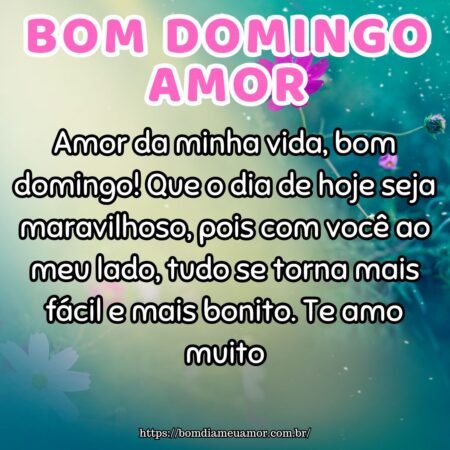 Amor da minha vida, bom domingo! Que o dia de hoje seja maravilhoso, pois com você ao meu lado, tudo se torna mais fácil e mais bonito. Te amo muito. Amor da minha vida, bom domingo! Que o dia de hoje seja maravilhoso, pois com você ao meu lado, tudo se torna mais fácil e mais bonito. Te amo muito.