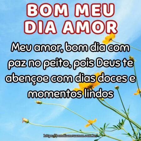 Meu amor, bom dia com paz no peito, pois Deus te abençoe com dias doces e momentos lindos. Meu amor, bom dia com paz no peito, pois Deus te abençoe com dias doces e momentos lindos.