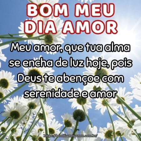 Meu amor, que tua alma se encha de luz hoje, pois Deus te abençoe com serenidade e amor. Meu amor, que tua alma se encha de luz hoje, pois Deus te abençoe com serenidade e amor.