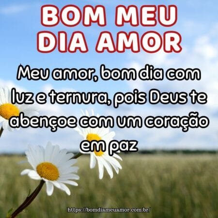 Meu amor, bom dia com luz e ternura, pois Deus te abençoe com um coração em paz. Meu amor, bom dia com luz e ternura, pois Deus te abençoe com um coração em paz.