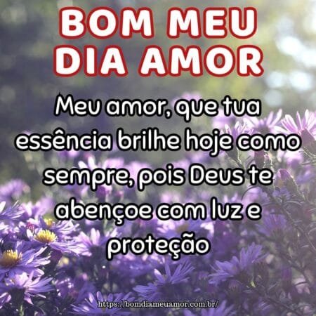 Meu amor, que tua essência brilhe hoje como sempre, pois Deus te abençoe com luz e proteção. Meu amor, que tua essência brilhe hoje como sempre, pois Deus te abençoe com luz e proteção.