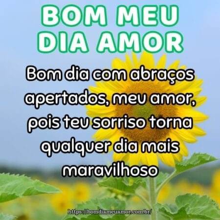 Bom dia com abraços apertados, meu amor, pois teu sorriso torna qualquer dia mais maravilhoso. Bom dia com abraços apertados, meu amor, pois teu sorriso torna qualquer dia mais maravilhoso.
