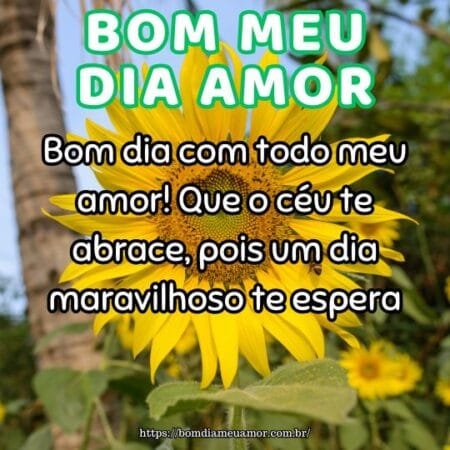Bom dia com todo meu amor! Que o céu te abrace, pois um dia maravilhoso te espera. Bom dia com todo meu amor! Que o céu te abrace, pois um dia maravilhoso te espera.