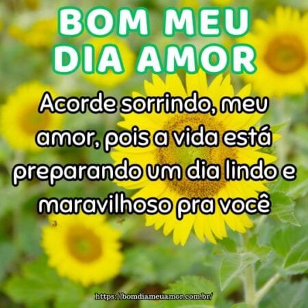 Acorde sorrindo, meu amor, pois a vida está preparando um dia lindo e maravilhoso pra você. Acorde sorrindo, meu amor, pois a vida está preparando um dia lindo e maravilhoso pra você.