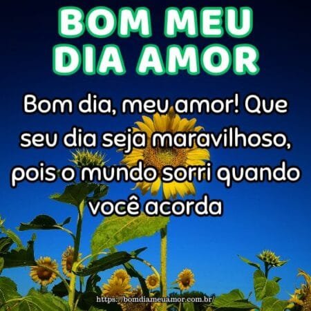 Bom dia, meu amor! Que seu dia seja maravilhoso, pois o mundo sorri quando você acorda. Bom dia, meu amor! Que seu dia seja maravilhoso, pois o mundo sorri quando você acorda.