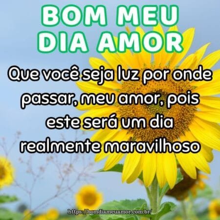 Que você seja luz por onde passar, meu amor, pois este será um dia realmente maravilhoso. Que você seja luz por onde passar, meu amor, pois este será um dia realmente maravilhoso.
