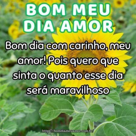 Bom dia com carinho, meu amor! Pois quero que sinta o quanto esse dia será maravilhoso. Bom dia com carinho, meu amor! Pois quero que sinta o quanto esse dia será maravilhoso.