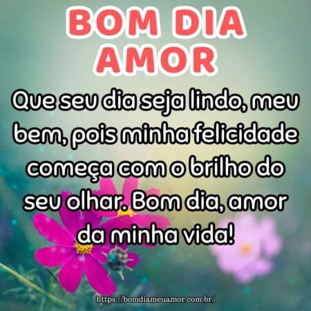 Que seu dia seja lindo, meu bem, pois minha felicidade começa com o brilho do seu olhar. Bom dia, amor da minha vida! Que seu dia seja lindo, meu bem, pois minha felicidade começa com o brilho do seu olhar. Bom dia, amor da minha vida!
