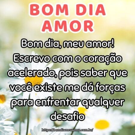 Bom dia, meu amor! Escrevo com o coração acelerado, pois saber que você existe me dá forças para enfrentar qualquer desafio. Bom dia, meu amor! Escrevo com o coração acelerado, pois saber que você existe me dá forças para enfrentar qualquer desafio.