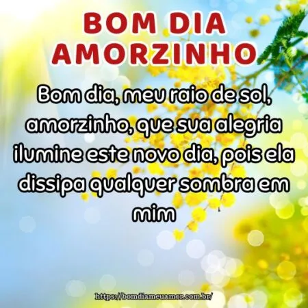 Bom dia, meu raio de sol, amorzinho, que sua alegria ilumine este novo dia, pois ela dissipa qualquer sombra em mim.