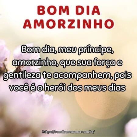 Bom dia, meu príncipe, amorzinho, que sua força e gentileza te acompanhem, pois você é o herói dos meus dias. Bom dia, meu príncipe, amorzinho, que sua força e gentileza te acompanhem, pois você é o herói dos meus dias.