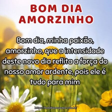 Bom dia, minha paixão, amorzinho, que a intensidade deste novo dia reflita a força do nosso amor ardente, pois ele é tudo para mim. Bom dia, minha paixão, amorzinho, que a intensidade deste novo dia reflita a força do nosso amor ardente, pois ele é tudo para mim.
