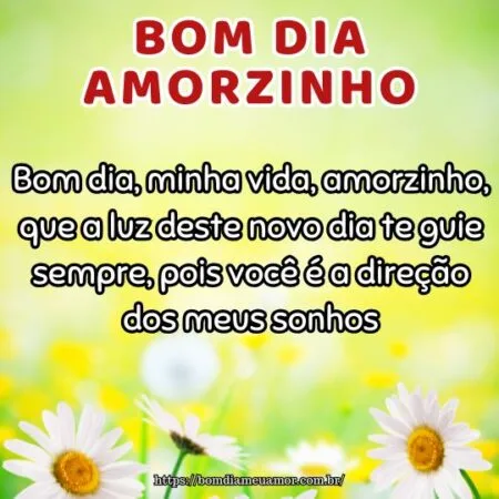 Bom dia, minha vida, amorzinho, que a luz deste novo dia te guie sempre, pois você é a direção dos meus sonhos.