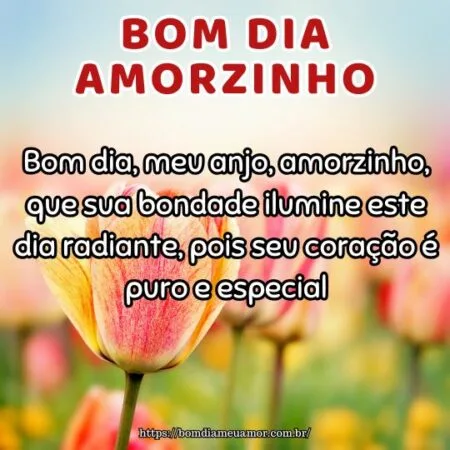 Bom dia, meu anjo, amorzinho, que sua bondade ilumine este dia radiante, pois seu coração é puro e especial.