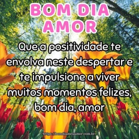 Que a positividade te envolva neste despertar e te impulsione a viver muitos momentos felizes, bom dia, amor. Que a positividade te envolva neste despertar e te impulsione a viver muitos momentos felizes, bom dia, amor.